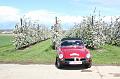 MG Bloesemrit op 24-4-2016 org. Jos&Marie-lou  (196)